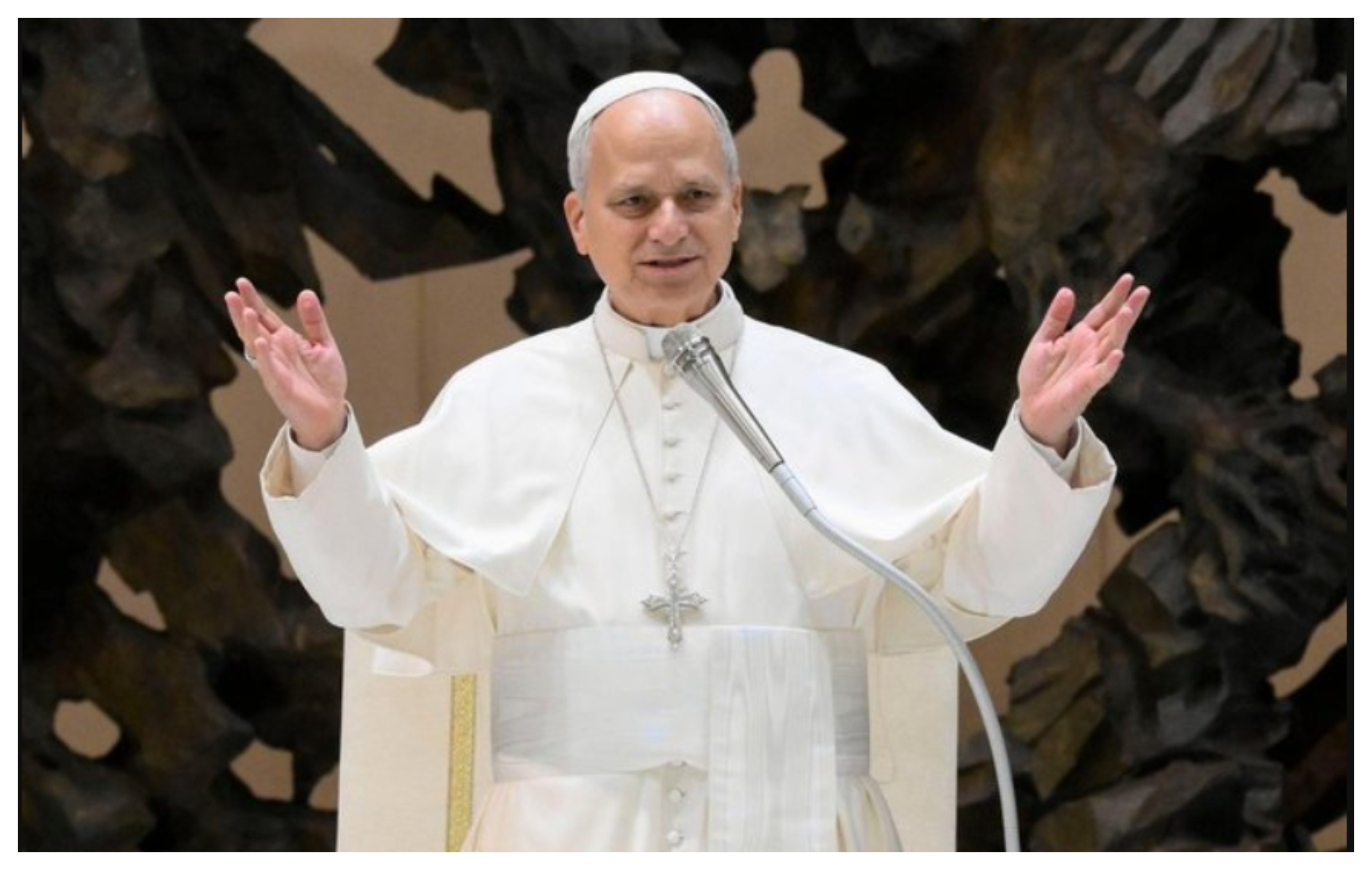 El Papa predica discreción y amabilidad, virtud esta al parecer olvidada: "abstenerse de utilizar palabras que afectan y lastiman a nuestro prójimo. Empecemos a desarmar el lenguaje, renunciando a las palabras hirientes, al juicio inmediato, a hablar mal de quienes están ausentes y no pueden defenderse, a las calumnias"