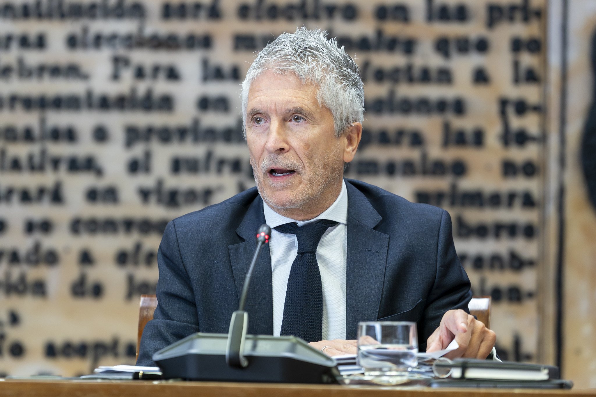 Los sindicatos policiales, hartos de Marlaska / Foto: Pablo Moreno