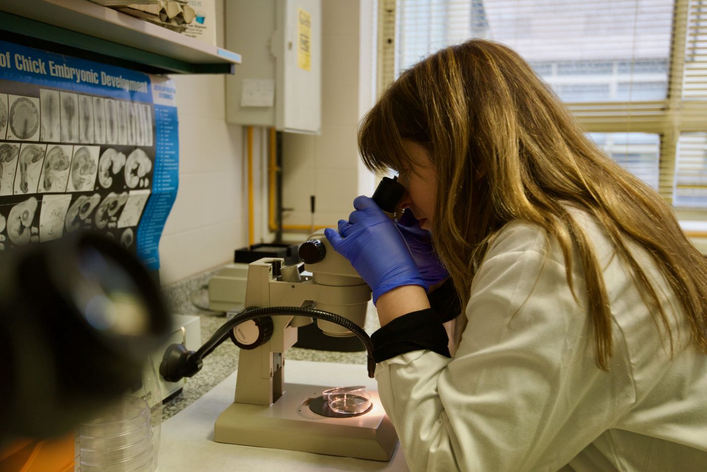 Solo el 7% de los recursos destinados a investigación se dirige a problemas de salud que afectan a las mujeres en exclusiva, o con mayor prevalencia, como la endometriosis o la migraña