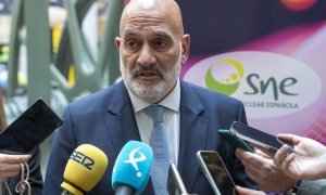 Paulo Domingues, presidente de la Sociedad Nuclear Española (SNE) y director general de la Asociación Nuclear Ascó-Vandellós II (ANAV) / Foto: Pablo Moreno