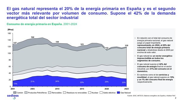 Consumo del gas natural en la industria