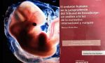 "España no tiene en cuenta la protección y dignidad del embrión humano, reconocidas por Estrasburgo"