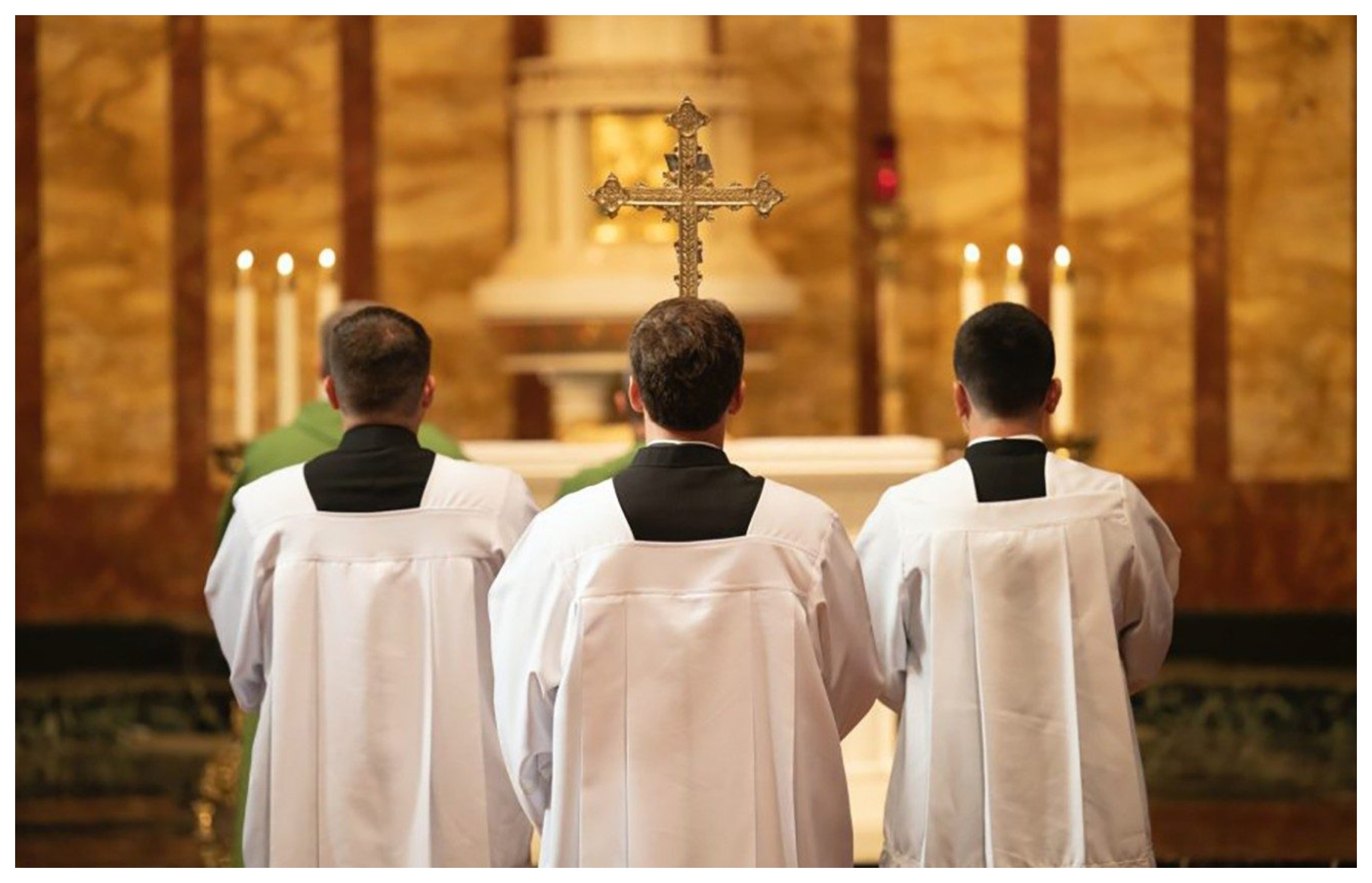 Seminaristas / Foto: Vatican Media