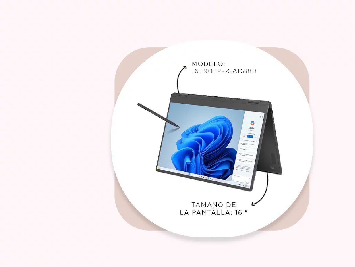 Creatividad, Paula Jara Xelmírez