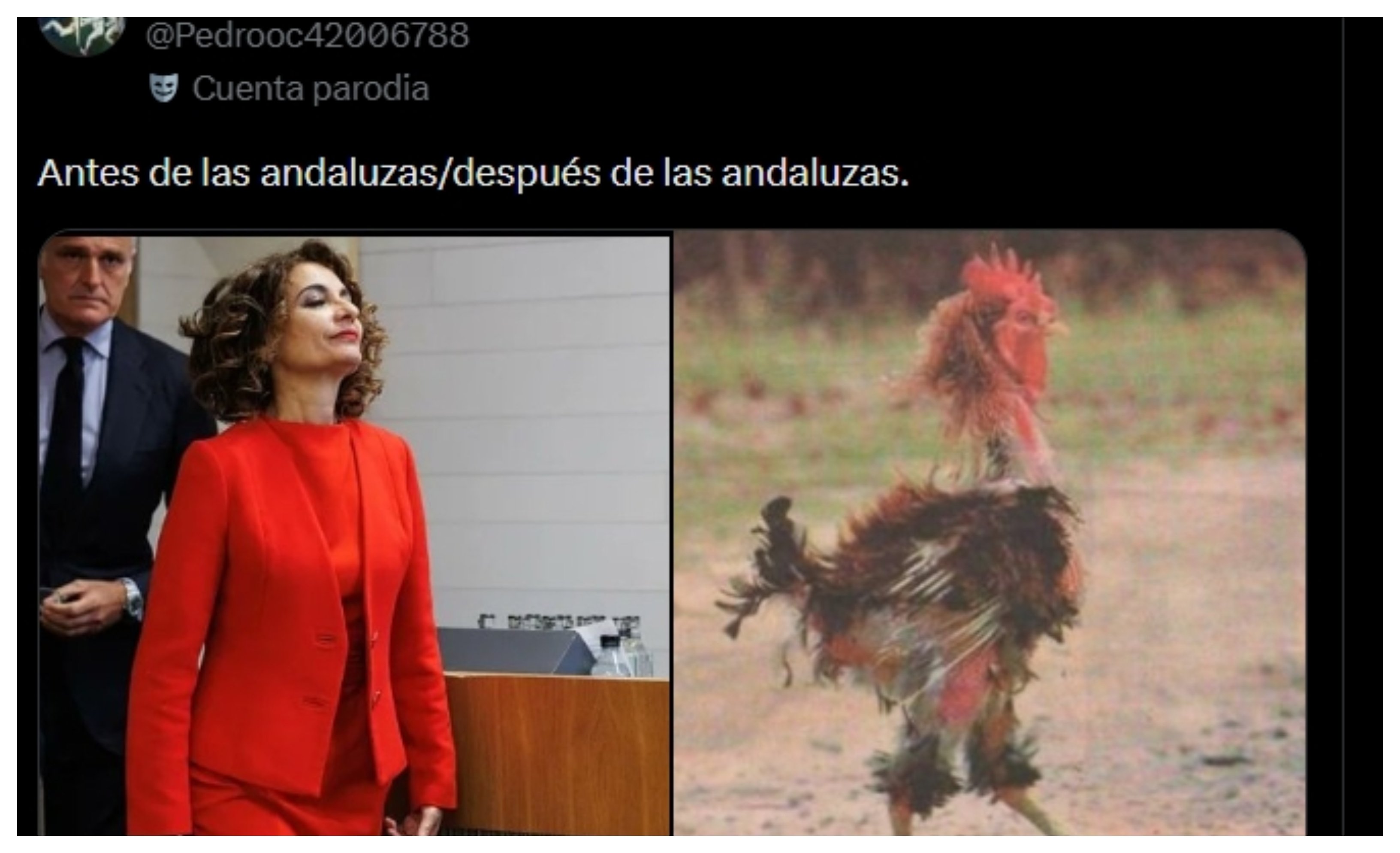 Yo soy esa... antes y después de las andaluzas