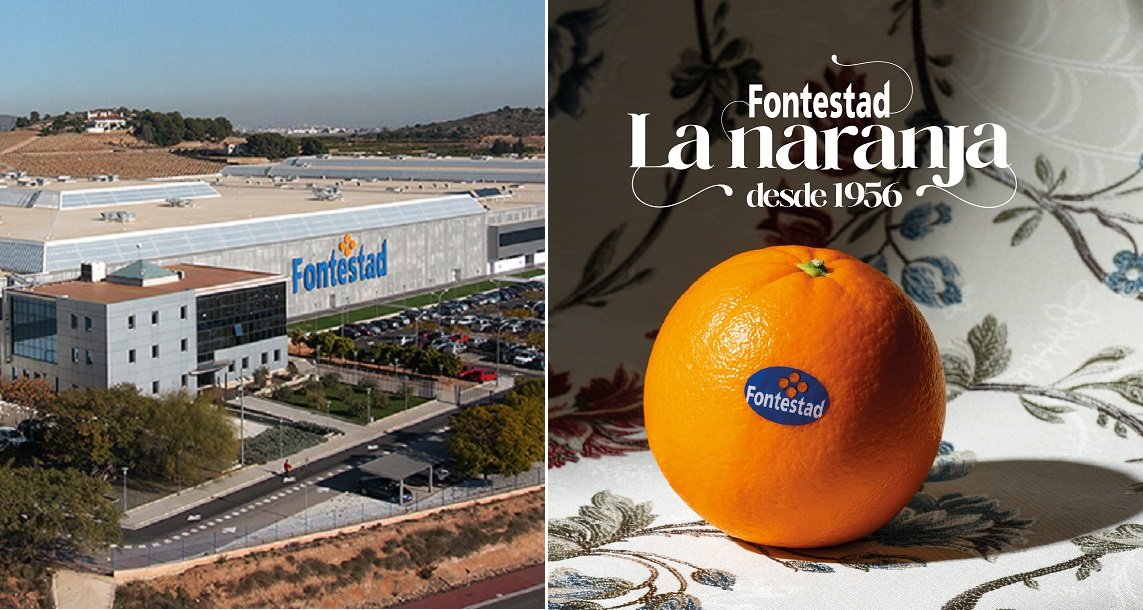 Fontestad produce 160 millones de kilos de cítricos al año y vende naranjas y mandarinas de cuatro marcas (Fontestad y Tío Vicent en España,  Mademoiselle y Coquette en Francia)