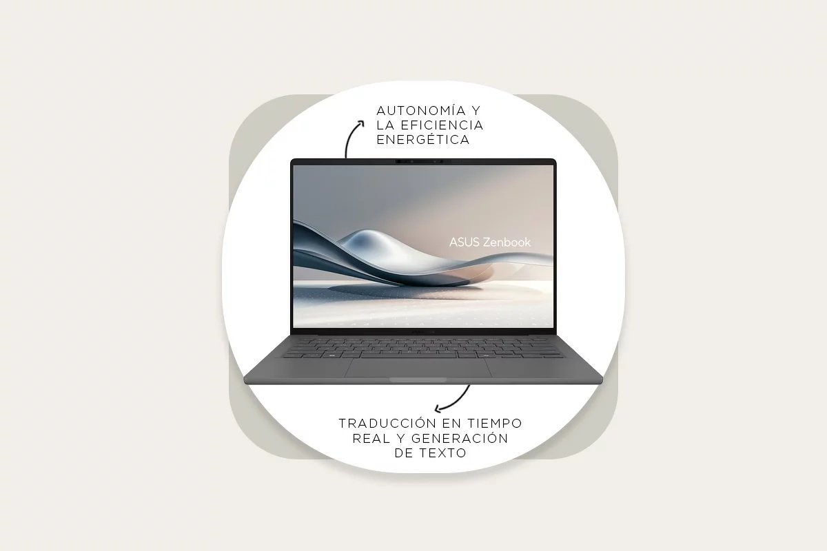 Creatividad: Paula Jara Xelmírez