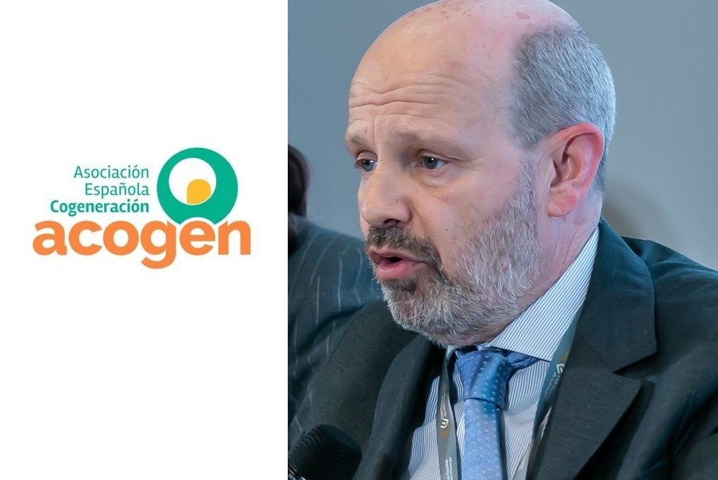 José Ignacio Castillo, presidente de Acogen, apunta a una “descapitalización industrial silenciosa"