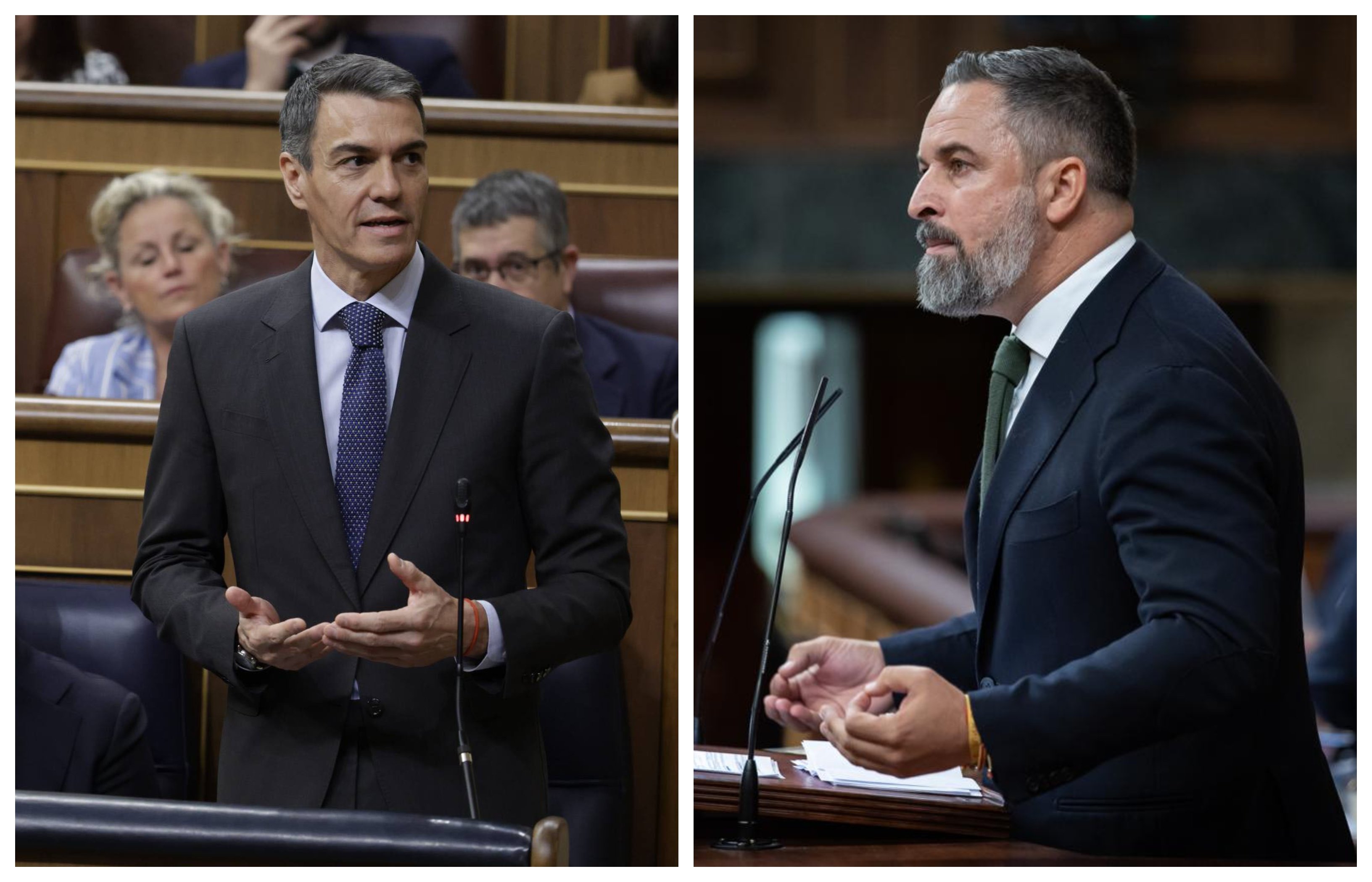 "El 63% de los abusos en Pamplona los cometen extranjeros, el último, un niño de cuatro años, arrebatado a sus padres y llevado a un centro de menores, donde fue violado por un mena": Abascal, a Sánchez