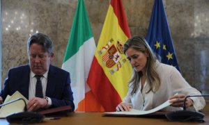 Los titulares del Ministerio para el Clima, la Energía y el Medio Ambiente de Irlanda y del Ministerio para la Transición Ecológica y el Reto Demográfica de España, Darragh O’Brien y Sara Aagesen, respectivamente
