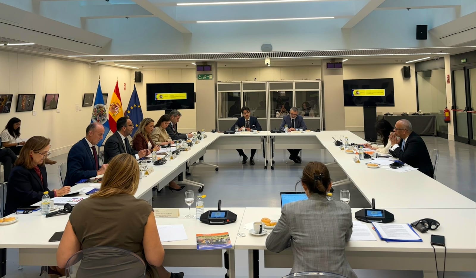 Una reunion de la OEA