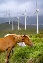 Repotenciación en el parque eólico de Monte Redondo