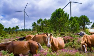Repotenciación del parque eólico de Monte Redondo
