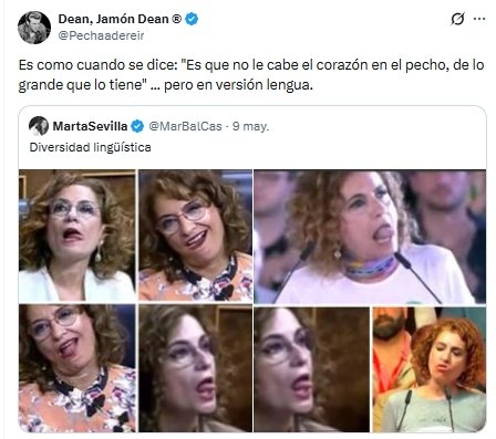 Diversidad linguistica