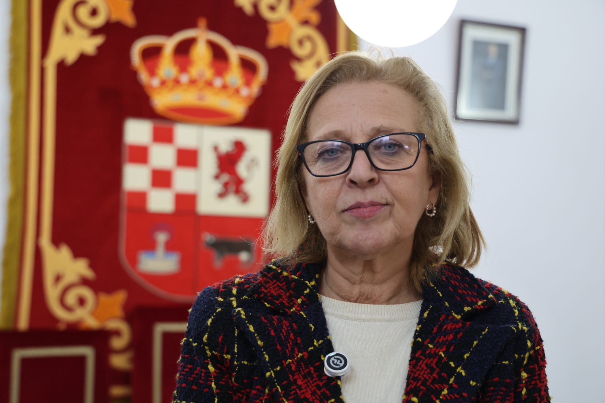 Hablamos de la alcaldesa de Fuentenovilla, Montserrat Rivas, que ha resultado herida al evitar que unos okupas robaron un vehículo