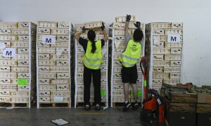 Voluntarios de la campaña «Ningún hogar sin alimentos» / Foto: Fundación "la Caixa" Voluntarios de la campaña «Ningún hogar sin alimentos» / Foto: Fundación "la Caixa"