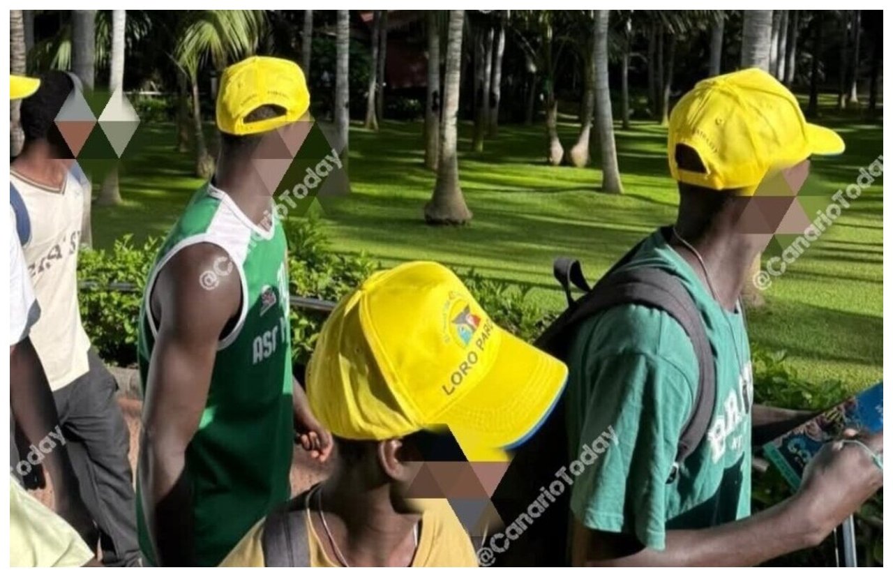 Inmigrantes ilegales en Loro Parque / Imagen: @CanarioToday