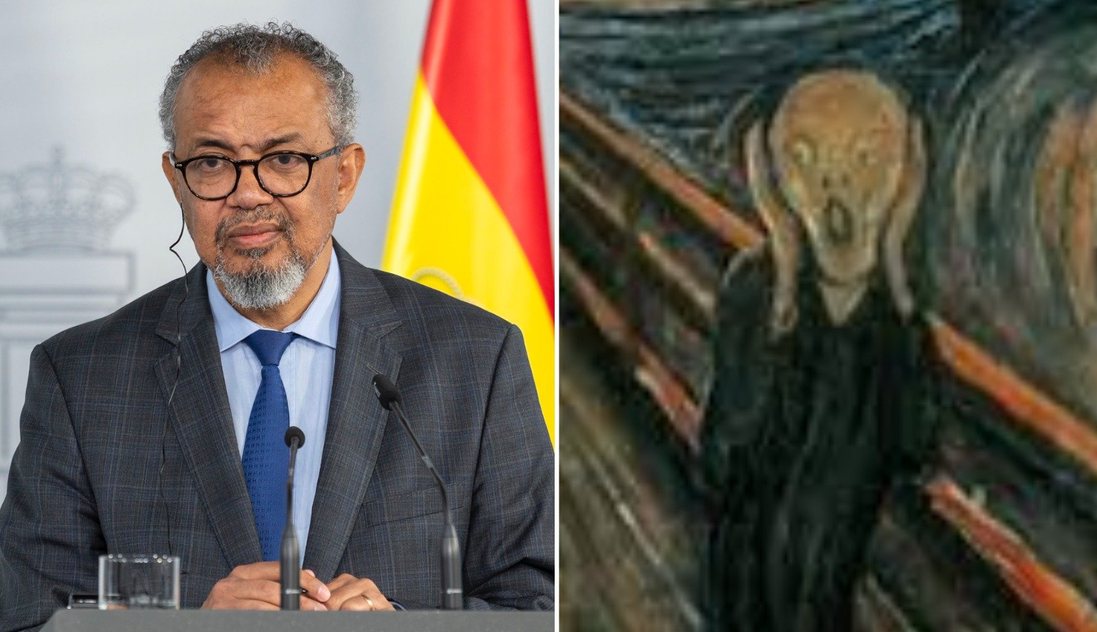 Volviendo a Tedros, y la OMS, ahora mismo el instrumento más poderoso del siniestro Nuevo Orden Mundial -siniestro no porque sea fruto de una camarilla sino por algo mucho peor: es fruto de un consenso, de un mundo que habla muchos idiomas pero se resiste a pensar en ninguno- lo único que precisa una tiranía es un pueblo atemorizado