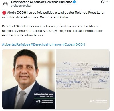 bernardo bernardo