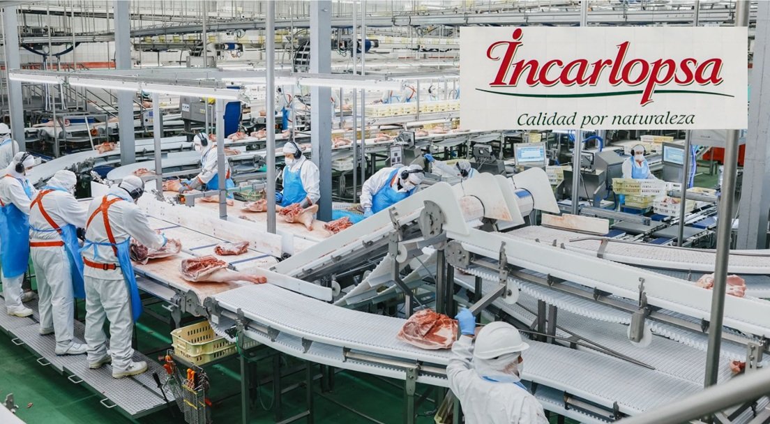 Incarlopsa es una empresa 100% española y familiar que surgió en 1978 y hoy es uno de los principales proveedores de Mercadona en España para productos cárnicos porcinos frescos, curados e ibéricos