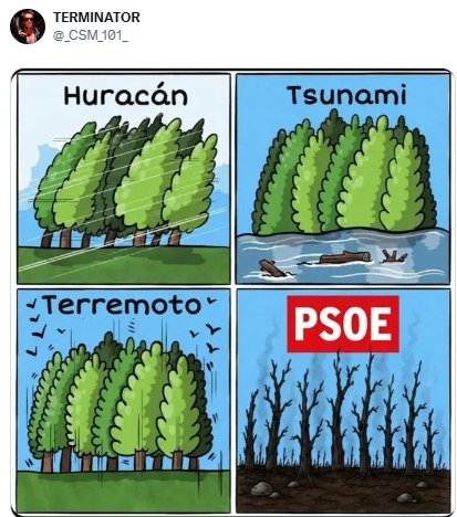 arrasa arrasa