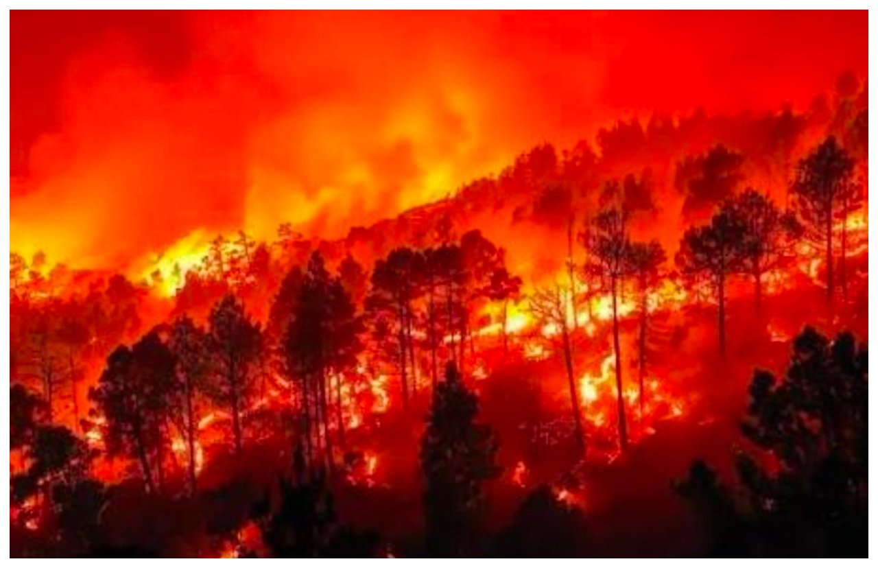 Incendios. No hay que luchar contra el cambio climático, hay que limpiar los montes en invierno… y punto