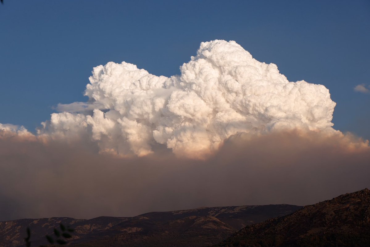 Cuando me enteré de que se habían producido los primeros terribles incendios, tras pedirle al Señor lo que se debe pedir en estos casos, me vino a la cabeza un dicho en latín 