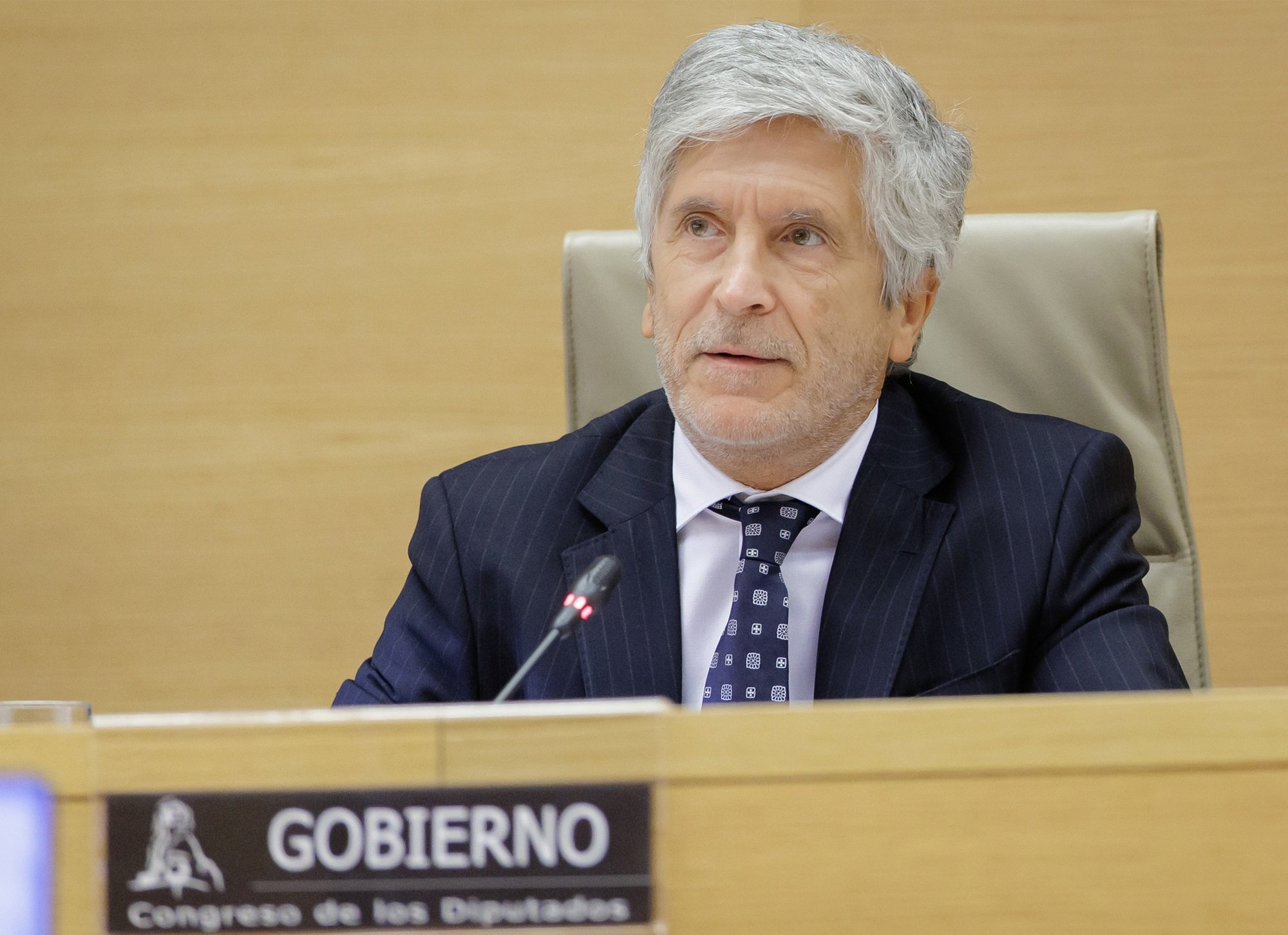Fernando Grande-Marlaska, ministro del Interior y uno de nuestros peores ciudadanos