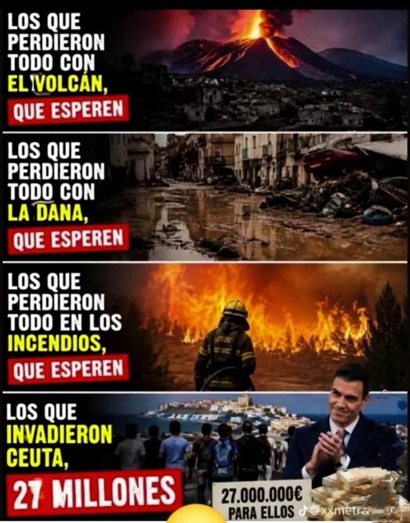 WhatsApp Image 2026 08 26 at 11.00.07 copia WhatsApp Image 2026 08 26 at 11.00.07 copia