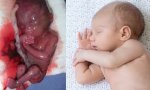 A 94.000 bebés se les arrebató la vida en el vientre materno, no se les dejó nacer
