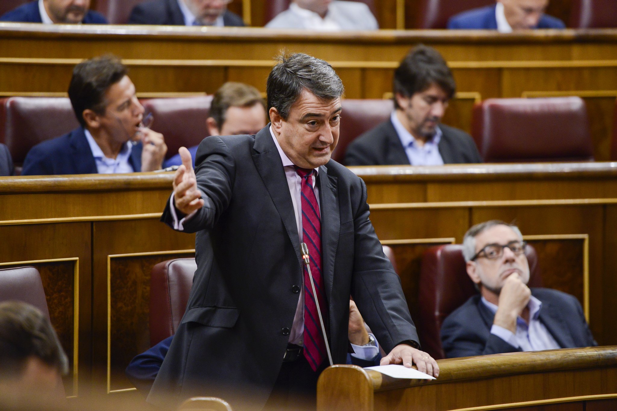 Aitor Esteban en el Congreso