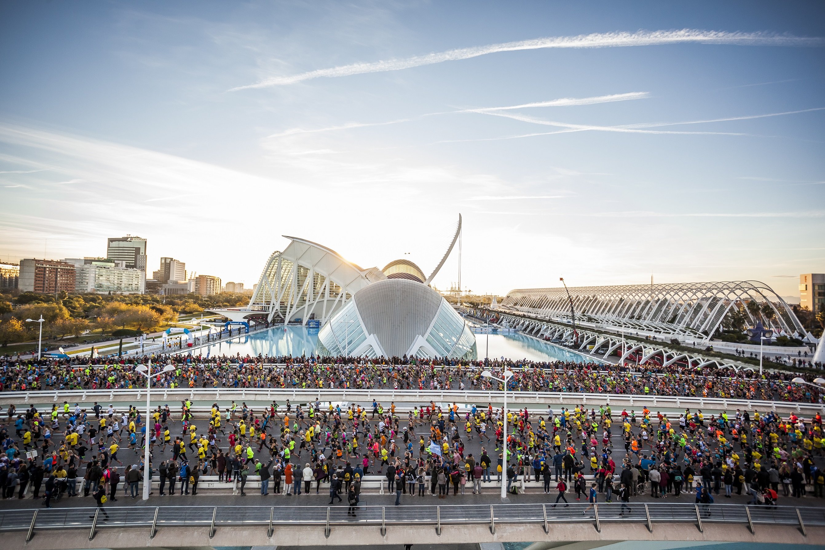Corredores antes de la salida Corredores antes de la salida