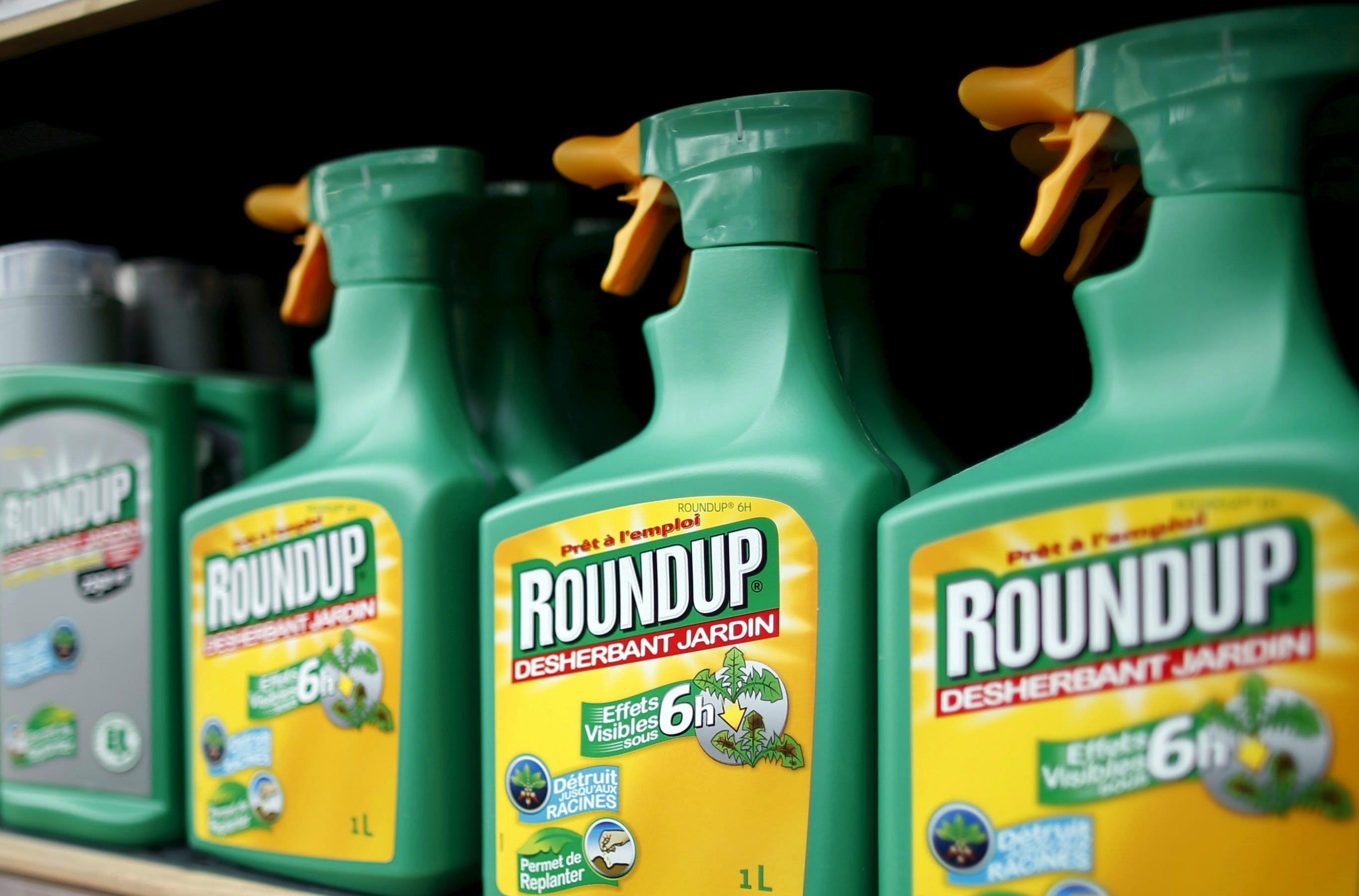 Roundup, con glifosato, peligroso para la salud Roundup, con glifosato, peligroso para la salud