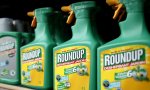 Roundup, con glifosato, peligroso para la salud
