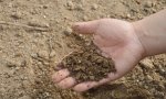 La lucha contra el cambio climático avanza: cadáveres como fertilizante y canibalismo