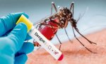 Argentina. Buenos Aires vive una epidemia de dengue en plena crisis del coronavirus