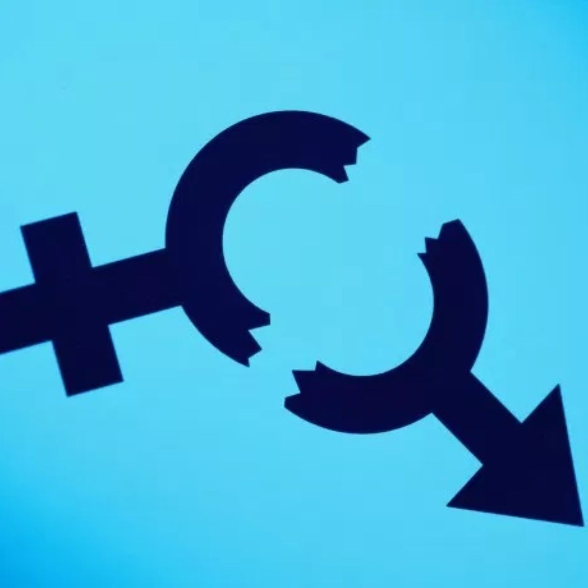 No olviden que el feminismo es quejumbrosidad y esterilidad, cuando la feminidad es vitalidad y fecundidad