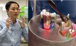 El científico chino condenado y embriones humanos congelados