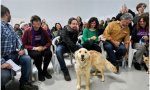 Una gran idea para Pablo Iglesias: el aeropuerto de Osaka instala la primera zona de confort canino de Japón