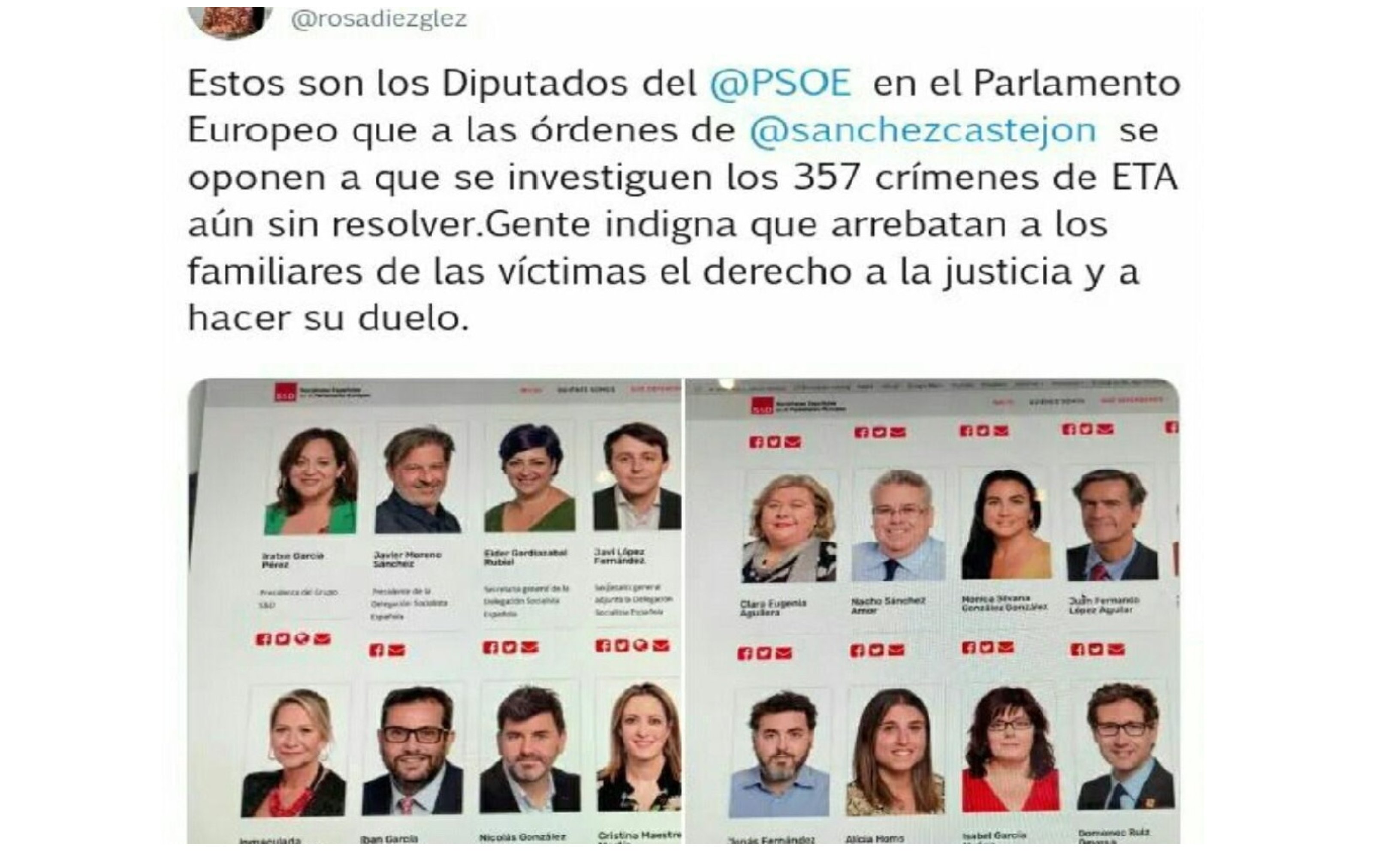 Éxito del tweet de Rosa Diez sobre los eurodiputados socialistas que se niegan a investigar 357 crímenes de ETA aún sin resolver