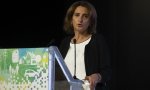 A la vicepresidenta de Transición Ecológica, Teresa Ribera, sólo le importan las renovables...