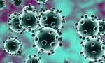 El coronavirus avanza en España: ya hay 47.610 afectados casos, 3.434 fallecidos y 3.794 pacientes recuperados