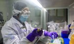 Coronavirus. Investigaciones en marcha: China y EEUU lideran la búsqueda de una vacuna