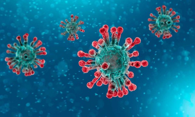 Coronavirus. Hablemos claro: no sabemos nada del bicho… o muy poco