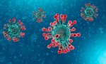 Médicos denuncian la "estafa" del coronavirus