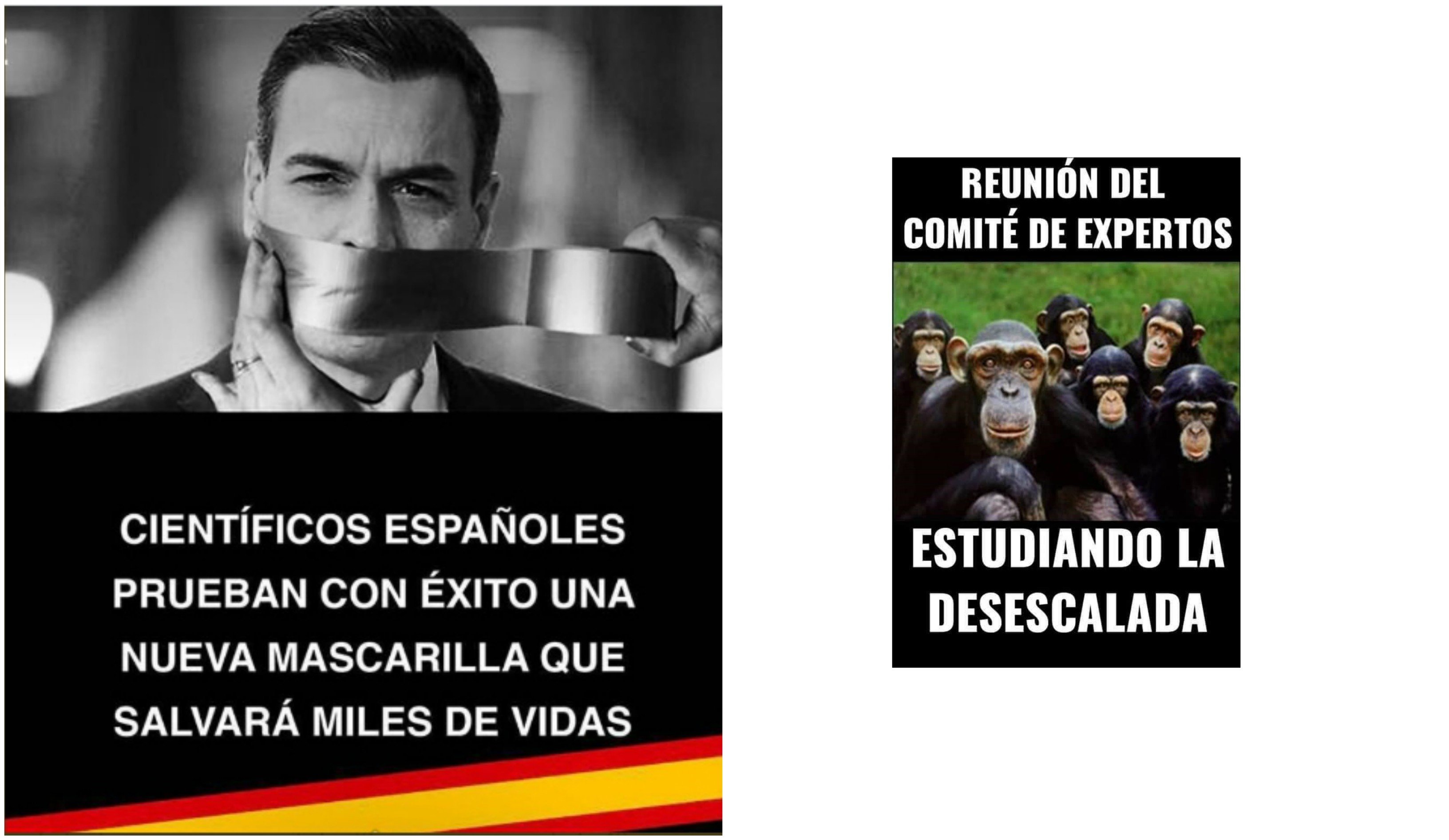 La verdad está en los memes. Para que luego digan que no investigamos La verdad está en los memes. Para que luego digan que no investigamos