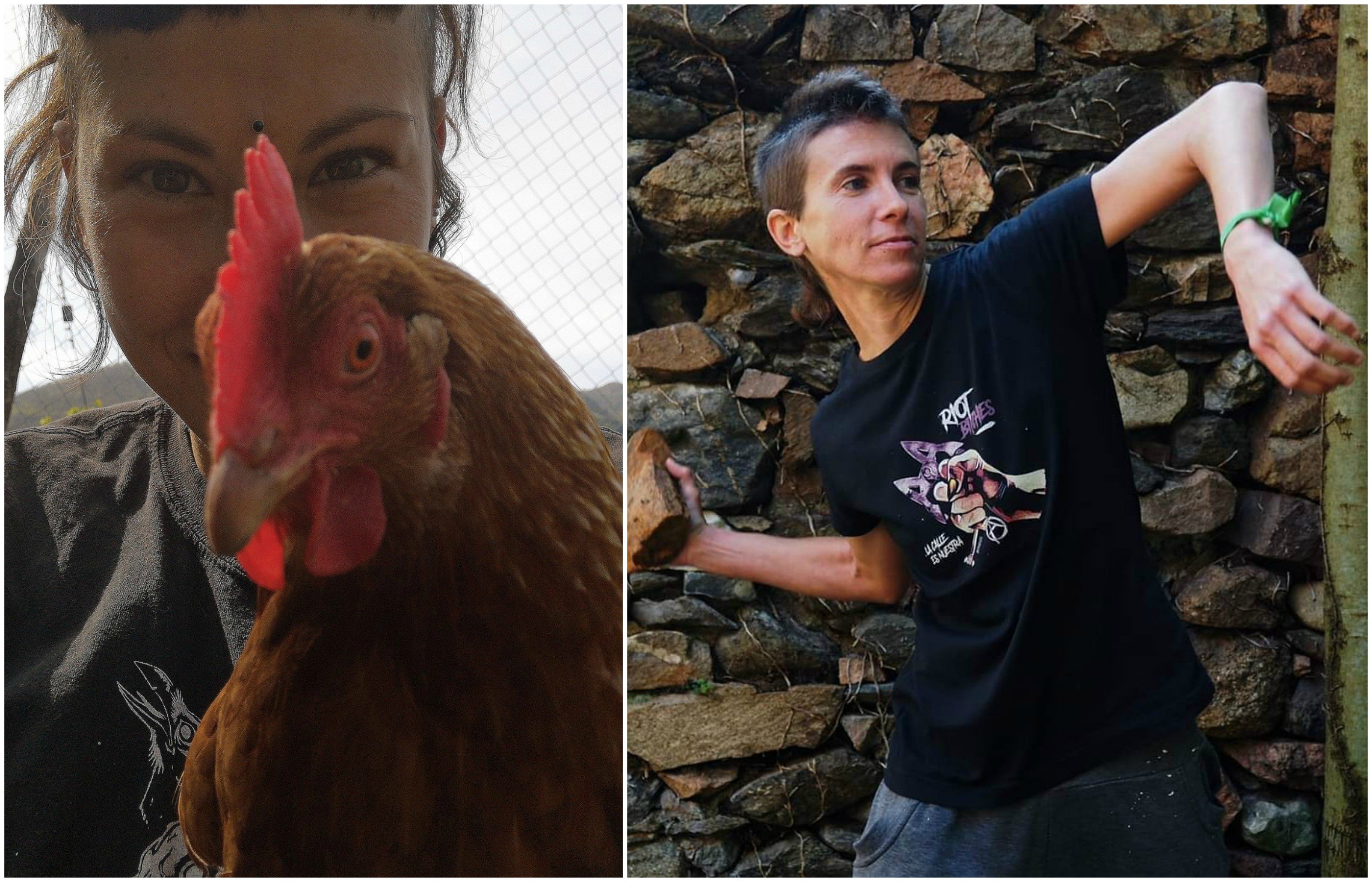 'Almas veganas' las activistas pro derechos de los animales, necesitan fondos para que los gallos no violen a las gallinas