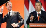Consejo Europeo. Viktor Orbán: “Este tipo holandés es el responsable del desastre”