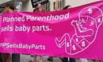 Planned Parenthood. España 'planta' cara a la multinacional abortista por publicidad ilegal