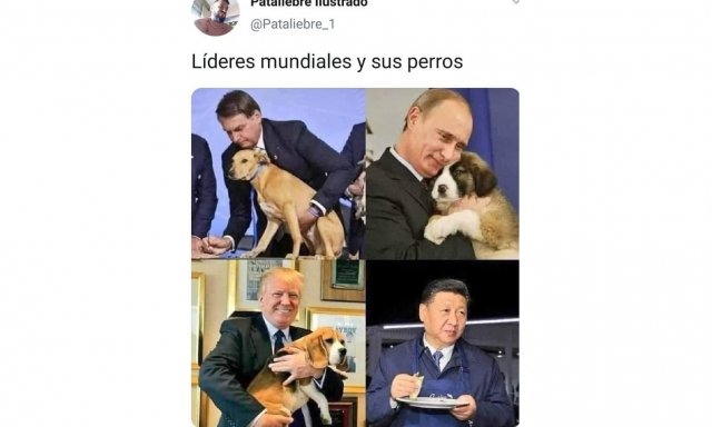 Líderes y perros